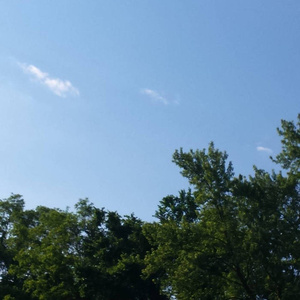 缅甸一级婬片A片金莲
